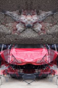 MAURO CUPPONE - Rorschach (Crash) Test #1ac. Dittico