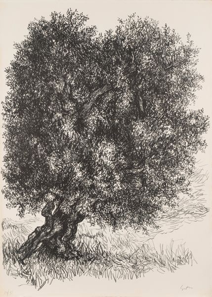 Renato Guttuso : Albero  - Asta Grafica Internazionale e Multipli d'Autore - Associazione Nazionale - Case d'Asta italiane