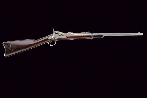 Raro e interessante Model 1873 Trapdoor Carbine Custer Range  - Asta Rare Armi Antiche e Militaria da Tutto il Mondo - Associazione Nazionale - Case d'Asta italiane