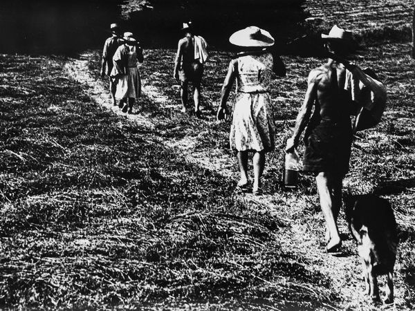 Mario Giacomelli : La buona terra  - Asta Fotografia: Under 1K - Associazione Nazionale - Case d'Asta italiane