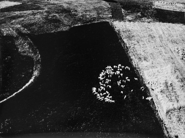 Mario Giacomelli : Metamorfosi della terra  - Asta Fotografia: Under 1K - Associazione Nazionale - Case d'Asta italiane