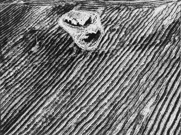 Mario Giacomelli : Presa di coscienza sulla natura  - Asta Fotografia: Under 1K - Associazione Nazionale - Case d'Asta italiane