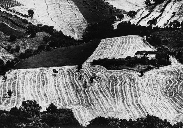 Mario Giacomelli : Presa di coscienza sulla natura  - Asta Fotografia: Under 1K - Associazione Nazionale - Case d'Asta italiane