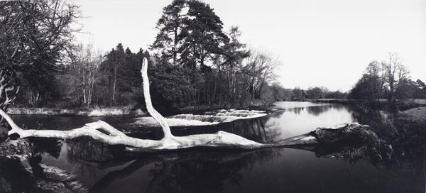 Paul Joyce : Trout pool, waterfall Wales  - Asta Fotografia: Under 1K - Associazione Nazionale - Case d'Asta italiane