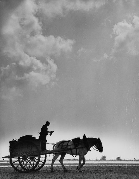 Jean Ribiére : Senza titolo  - Asta Fotografia: Under 1K - Associazione Nazionale - Case d'Asta italiane