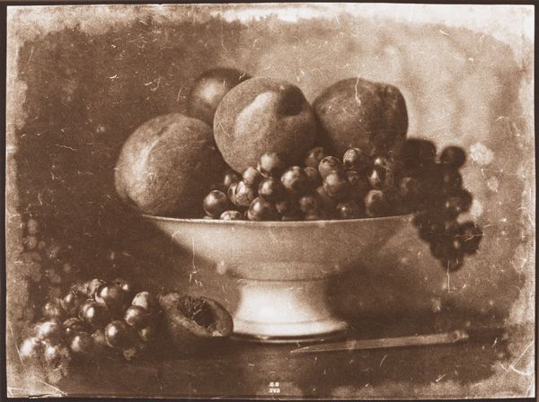 Claudine Sudre : Nature morte en complier  - Asta Fotografia: Under 1K - Associazione Nazionale - Case d'Asta italiane