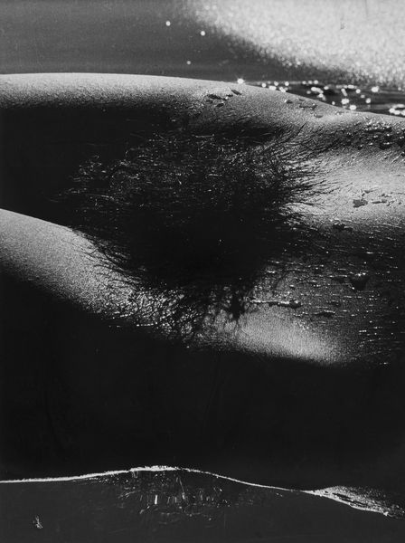 Lucien Clergue : Gense, Camargue  - Asta Fotografia: Under 1K - Associazione Nazionale - Case d'Asta italiane