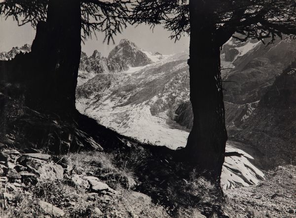 O. Darbellay : Glacier du Trent  - Asta Fotografia: Under 1K - Associazione Nazionale - Case d'Asta italiane