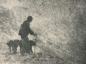 Domenico Riccardo Peretti Griva - Il pastore nella tormenta