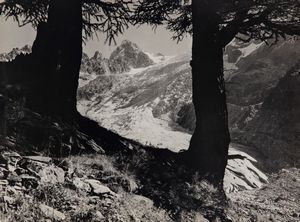 O. Darbellay - Glacier du Trent