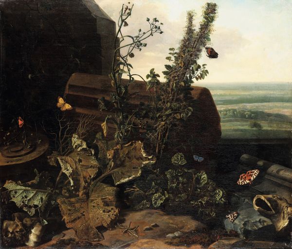 Otto Marseus van Schrieck : Sottobosco con insetti  - Asta Old Masters - Associazione Nazionale - Case d'Asta italiane