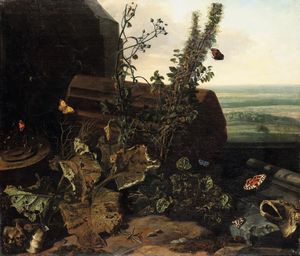 Otto Marseus van Schrieck - Sottobosco con insetti