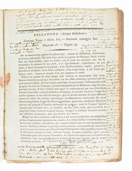 [ BOTANICA / ERBARIO ]  ROQUES  Joseph : Plantes usuelles, indigènes et exotiques. Tome premier (-seconde). A Paris: chez l'Auteur [...] et chez Madame veuve Hocquart, 1807.  - Asta Libri Rari & Manoscritti del XVI Secolo - Associazione Nazionale - Case d'Asta italiane