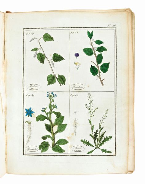 [ BOTANICA / ERBARIO ]  ROQUES  Joseph : Plantes usuelles, indigènes et exotiques. Tome premier (-seconde). A Paris: chez l'Auteur [...] et chez Madame veuve Hocquart, 1807.  - Asta Libri Rari & Manoscritti del XVI Secolo - Associazione Nazionale - Case d'Asta italiane