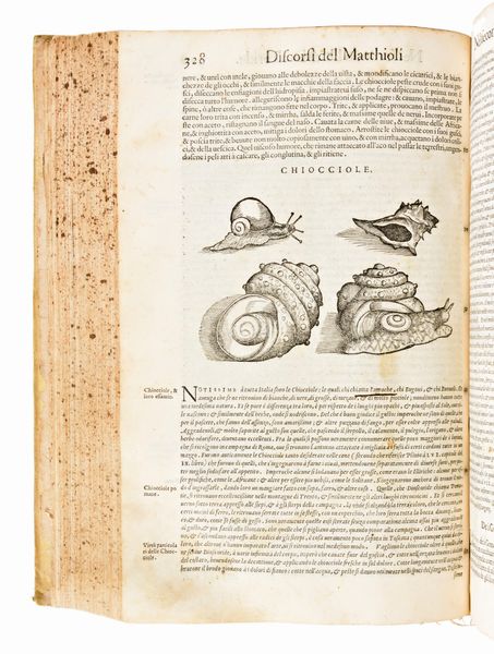 [Erbario] Mattioli, Pietro Andrea : I discorsi di m. Pietro Andrea Matthioli ... nelli sei libri di Pedacio Discoride Anazarbeo della materia medicinale... In Venetia, appresso Vincenzo Valgrisi, 1568  - Asta Libri Rari & Manoscritti del XVI Secolo - Associazione Nazionale - Case d'Asta italiane