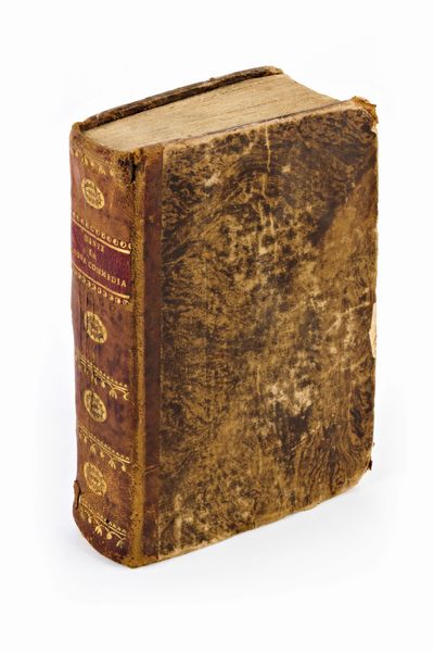 La Divina Commedia di Dante Alighieri secondo lezione pubblicata nel 1791. Roma 1810 Mariano de Romanis  - Asta Libri Rari & Manoscritti del XVI Secolo - Associazione Nazionale - Case d'Asta italiane