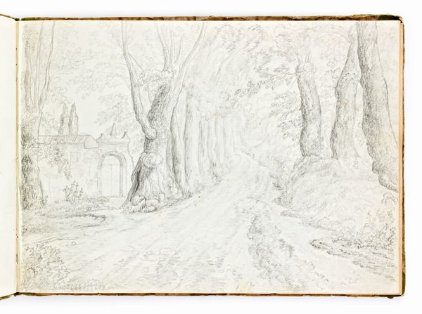 Album di disegni inglesi del XIX sec. Vedute Paesaggi Boschi Montagna  - Asta Libri Rari & Manoscritti del XVI Secolo - Associazione Nazionale - Case d'Asta italiane