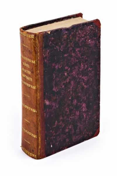 [ROMA/GUIDA] Roma compiutamente descritta in sette giornate per comodo de' forastieri con un'appendice de' contorni e dell'indicazione del viaggio da Roma a Napoli. Roma, Paggioli & De Romanis, 1830  - Asta Libri Rari & Manoscritti del XVI Secolo - Associazione Nazionale - Case d'Asta italiane