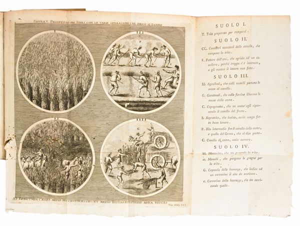 [Agricoltura/Roma] Doria, Luigi : Istituzioni georgiche per la coltivazione de' grani ad uso delle campagne romane..  In Roma, Gioacchino Puccinelli, anno 7. dell'Era repubblicana [ca. 1799]  - Asta Libri Rari & Manoscritti del XVI Secolo - Associazione Nazionale - Case d'Asta italiane