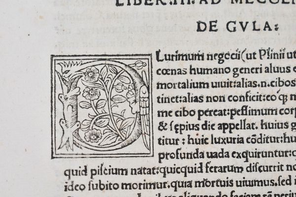 Brusoni, Lucius Domitius: FACETIARUM EXEMPLORUMQUE, LIBRI VII. Impressum Romae, 1518, per Iacobum Mazochium.  - Asta Libri Rari & Manoscritti del XVI Secolo - Associazione Nazionale - Case d'Asta italiane