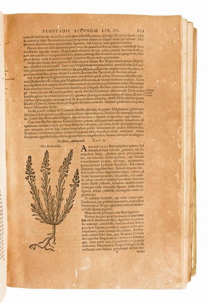 [Erbario] Dodoens, Rembert : Remberti Dodonaei ... Stirpium historiae pemptades sex siue libri 30. Antuerpiae, ex officina Plantiniana, apud Balthasarem et Ioannem Moretos, 1616  - Asta Libri Rari & Manoscritti del XVI Secolo - Associazione Nazionale - Case d'Asta italiane