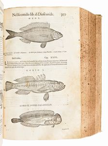 [Erbario] Mattioli, Pietro Andrea : I discorsi di m. Pietro Andrea Matthioli ... nelli sei libri di Pedacio Discoride Anazarbeo della materia medicinale... In Venetia, appresso Vincenzo Valgrisi, 1568  - Asta Libri Rari & Manoscritti del XVI Secolo - Associazione Nazionale - Case d'Asta italiane