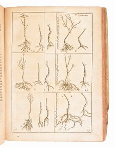 [Orticoltura] de La Quintinie, Jean B. : Instruction pour les jardins fruitiers et potagers, avec un traité des orangers, et des réflexions sur l'agriculture. A Paris, Chez Etienne-Francois Savoye, 1740. 2 volumi  - Asta Libri Rari & Manoscritti del XVI Secolo - Associazione Nazionale - Case d'Asta italiane