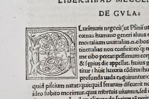 Brusoni, Lucius Domitius: FACETIARUM EXEMPLORUMQUE, LIBRI VII. Impressum Romae, 1518, per Iacobum Mazochium.  - Asta Libri Rari & Manoscritti del XVI Secolo - Associazione Nazionale - Case d'Asta italiane