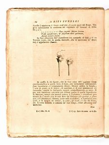 [Archeologia/Roma] Guasco, Francesco Eugenio : I Riti funebri di Roma pagana descritti da Francesco Eugenio Guasco.. In Lucca, per Filippo Maria Benedini, 1758  - Asta Libri Rari & Manoscritti del XVI Secolo - Associazione Nazionale - Case d'Asta italiane