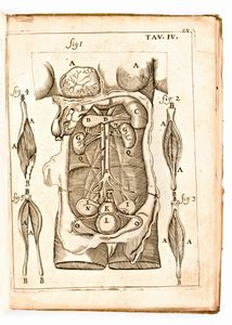 [Anatomia] Pascoli, Alessandro : Il corpo-umano, o breve storia, dove con nuovo metodo si descrivono in compendio tutti gli organi suoi, e i loro principali ufizi... G. Costantini & A. Poletti, in Perugia & Venezia 1700  - Asta Libri Rari & Manoscritti del XVI Secolo - Associazione Nazionale - Case d'Asta italiane