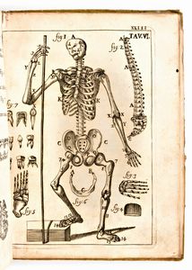 [Anatomia] Pascoli, Alessandro : Il corpo-umano, o breve storia, dove con nuovo metodo si descrivono in compendio tutti gli organi suoi, e i loro principali ufizi... G. Costantini & A. Poletti, in Perugia & Venezia 1700  - Asta Libri Rari & Manoscritti del XVI Secolo - Associazione Nazionale - Case d'Asta italiane