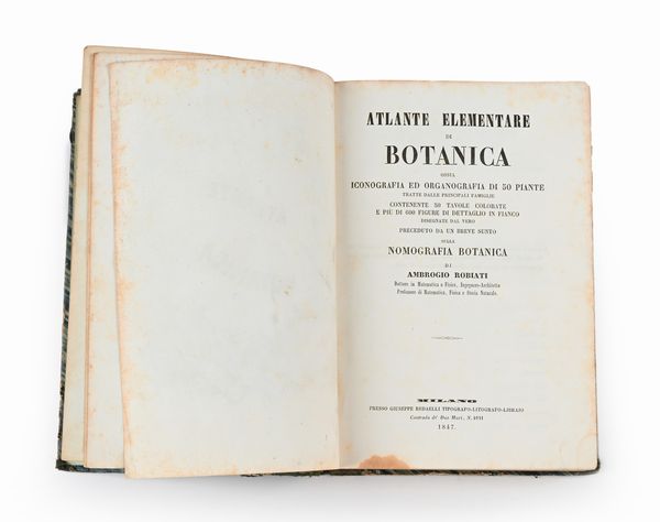 Ambrogio Robiati - Atlante elementare di botanica ossia iconografia ed organografia di 50 piante tratte dalle principali famiglie contenente 50 tavole colorate e più di 600 figure di dettaglio in fianco disegnate dal vero  - Asta Libri Antichi e Stampe - Associazione Nazionale - Case d'Asta italiane