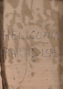 Giovanni Frangi : Heliconia Paradise III  - Asta Arte Moderna e Contemporanea - Associazione Nazionale - Case d'Asta italiane