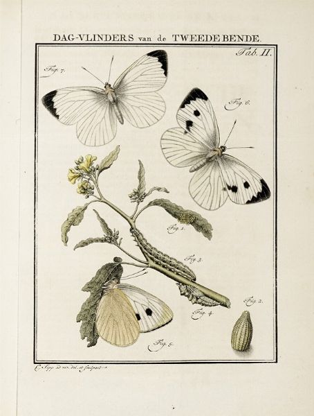 JAN CHRISTIAN SEPP : Beschouwing der wonderen Gods, in de minstgeachte schepzelen of Nederlandsche insecten.  - Asta Libri, Autografi e Manoscritti - Associazione Nazionale - Case d'Asta italiane