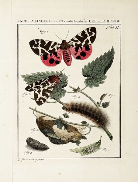 JAN CHRISTIAN SEPP : Beschouwing der wonderen Gods, in de minstgeachte schepzelen of Nederlandsche insecten.  - Asta Libri, Autografi e Manoscritti - Associazione Nazionale - Case d'Asta italiane
