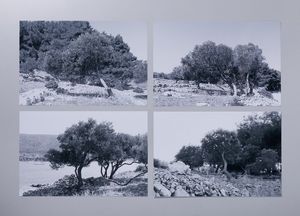 GHARIB ABBAS (n. 1942) - TREES