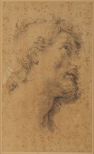 ARTISTA GENOVESE DEL XVII SECOLO - Studio della testa di San Crispino