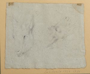 LONDONIO FRANCESCO (1723 - 1783) - Attribuito a. Studio di teste di pecore
