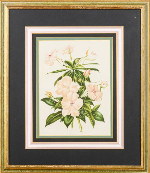 Lotto composto da quattro stampe a soggetto botanico  - Asta Incanti d'Arte - Associazione Nazionale - Case d'Asta italiane