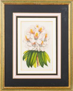 Lotto composto da quattro stampe a soggetto botanico  - Asta Incanti d'Arte - Associazione Nazionale - Case d'Asta italiane