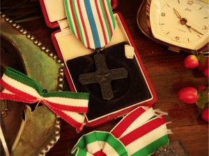Raccolta di curiosità  - Asta Due case fiorentine - Associazione Nazionale - Case d'Asta italiane