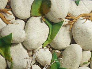 GILARDI PIERO (1942 - 2023) : SPIAGGIA  - Asta Asta 504 | ARTE MODERNA E CONTEMPORANEA Online - Associazione Nazionale - Case d'Asta italiane