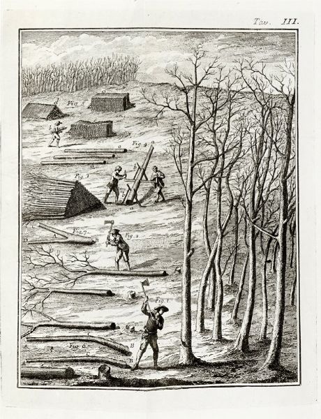 Henri Louis Duhamel du Monceau : Del governo dei boschi [...] arricchita di Rami, ed ora tradotta in italiano dall'Abate Giulio Perini [...]. Parte prima (-seconda).  - Asta Libri, autografi e manoscritti - Associazione Nazionale - Case d'Asta italiane