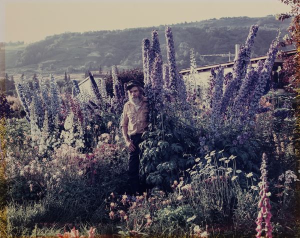 Joel Sternfeld : A Blind Man in his Garden, Homer, Alaska  - Asta Fotografia - Associazione Nazionale - Case d'Asta italiane