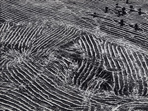 Mario Giacomelli : Presa di coscienza sulla natura  - Asta Fotografia - Associazione Nazionale - Case d'Asta italiane