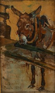 Ezechiele Acerbi - Il somarello