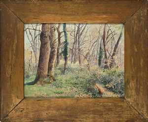 Scuola irlandese seconda metà del XIX secolo : Bosco a Grottaferrata  - Asta Dipinti del XIX e XX secolo - Associazione Nazionale - Case d'Asta italiane