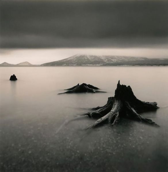 MICHAEL KENNA : Tree Remains  - Asta Photographs from important european collections - Associazione Nazionale - Case d'Asta italiane