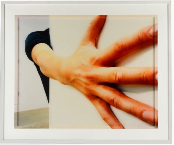 DANIELE PUPPI : Fatica #26 (Frammento)  - Asta Photographs from important european collections - Associazione Nazionale - Case d'Asta italiane