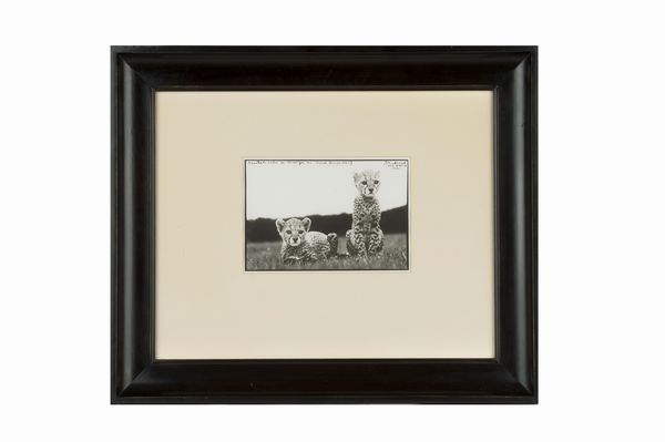 Peter Beard : Cheetah Cubs at Mweiga near Nyiri  - Asta Photographs from important european collections - Associazione Nazionale - Case d'Asta italiane